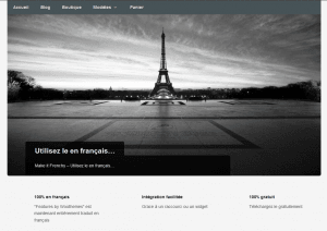 Features by Woothemes front