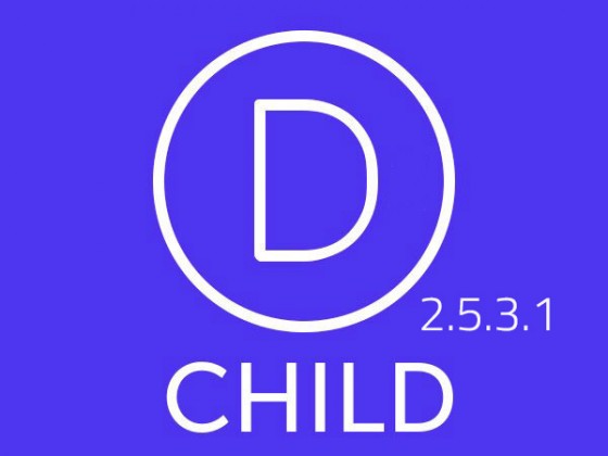 divi-child-2.5.3